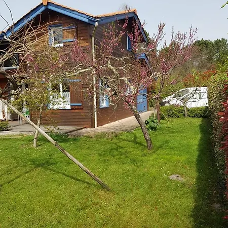 Villa Maison Bois Avec Piscine 4 Km Lac 10km Plage *